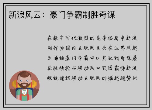 新浪风云:豪门争霸制胜奇谋